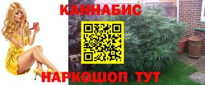 jwh Ирбит